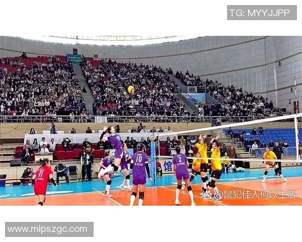 西安排球队个人能力引发热议球迷对球员表现展开激烈讨论