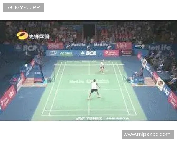 杭州羽毛球队的战术控制与训练策略深度解析